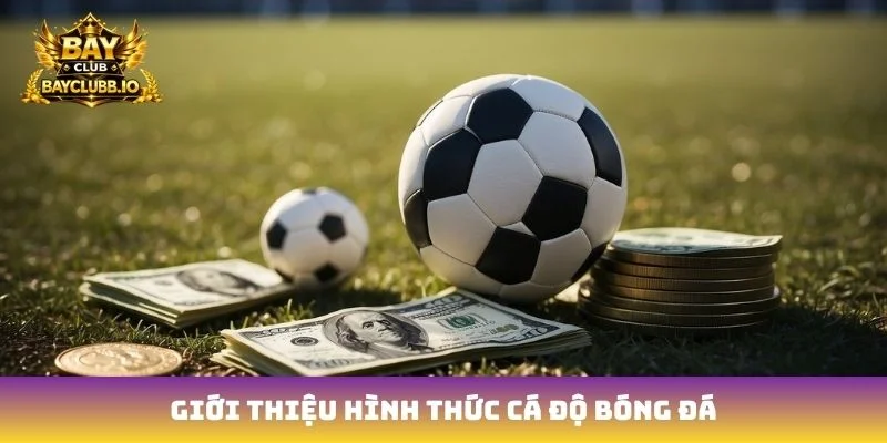Giới thiệu hình thức cá độ bóng đá